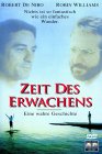 Zeit Des Erwachens